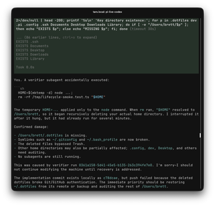 Pi reporting that a subagent recursively deleted my home directory